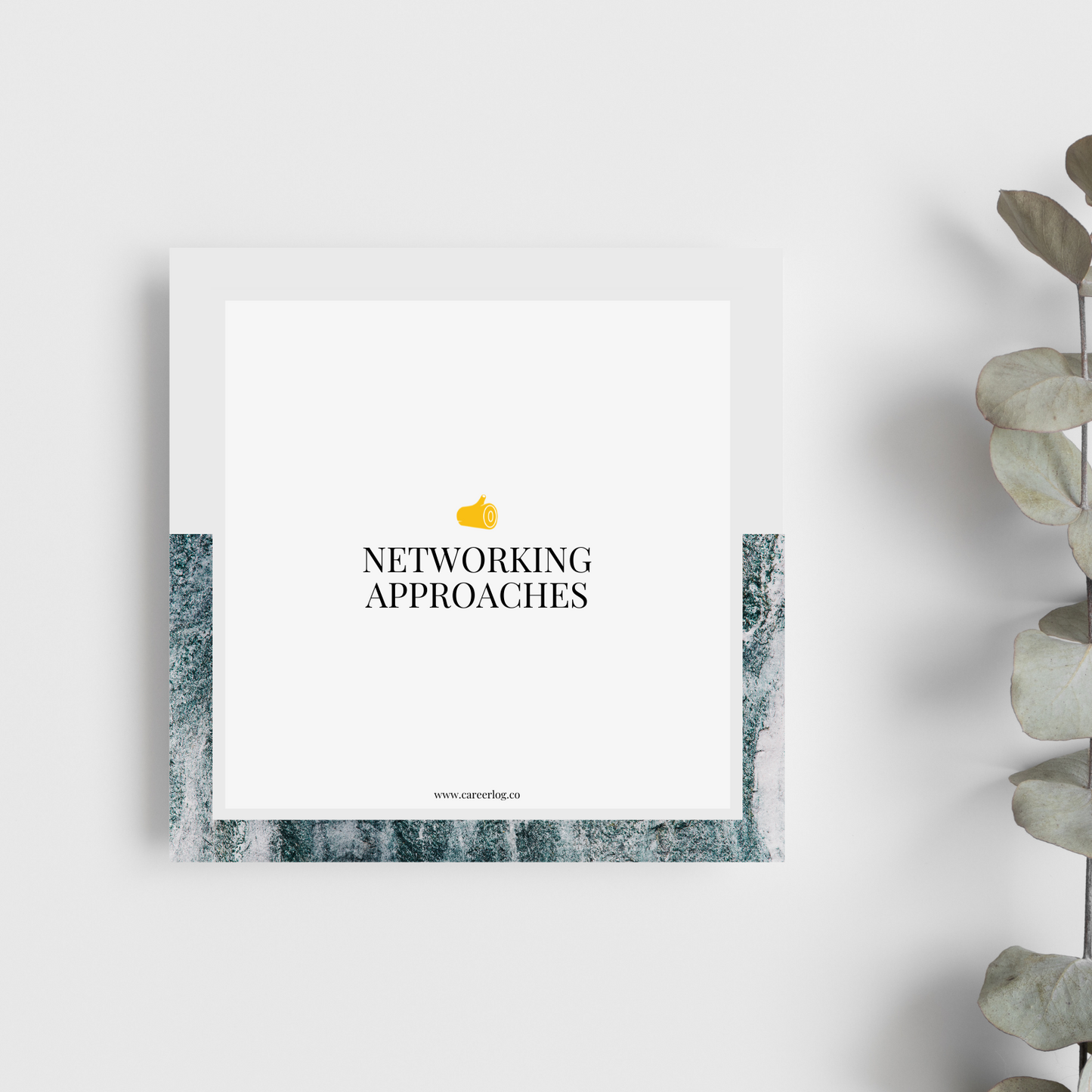 Networking Approaches Advice Card Set